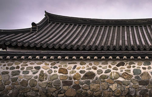 Dịch Vụ vegetative roof
